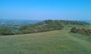 Mount Harry from Blackcap