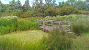 One of several thousand footbridges in the area
