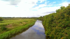 Taken from the terrifying bouncing bridge