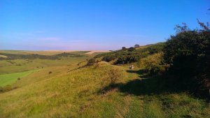 Castle Hill NNR