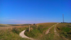 Take the Left Hand Fork