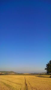 Lewes Downs and the Ouse Valley